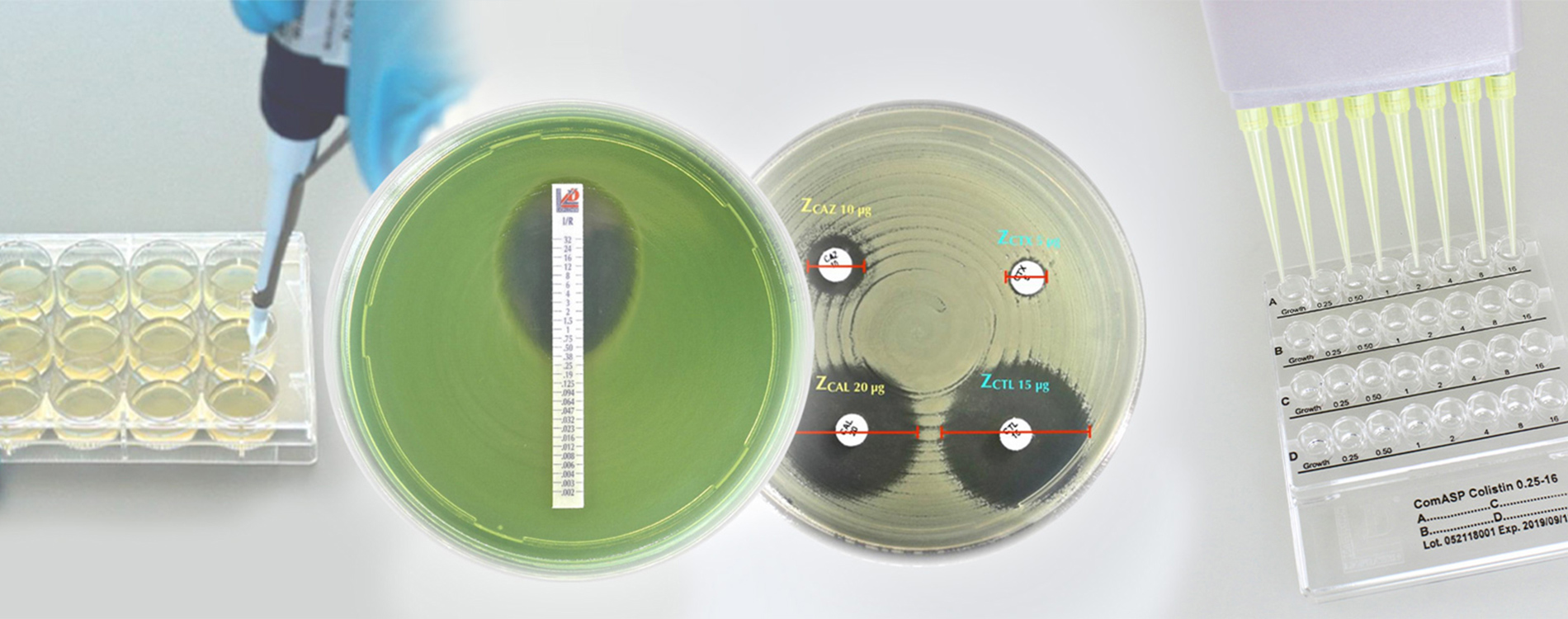 河南利飛馳生物技術有限公司